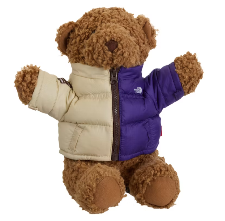 Supreme The North Face Bear