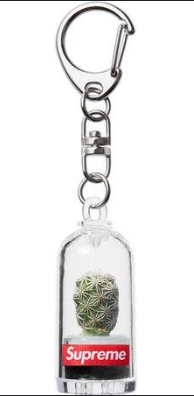 Supreme Cactus Keychain