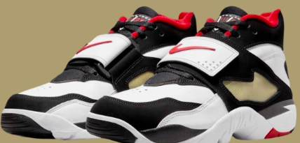 Nike AIr Diamond Turf 49ers